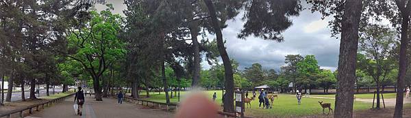 P_20150606_112357-PANO.jpg