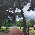 P_20150606_112357-PANO.jpg