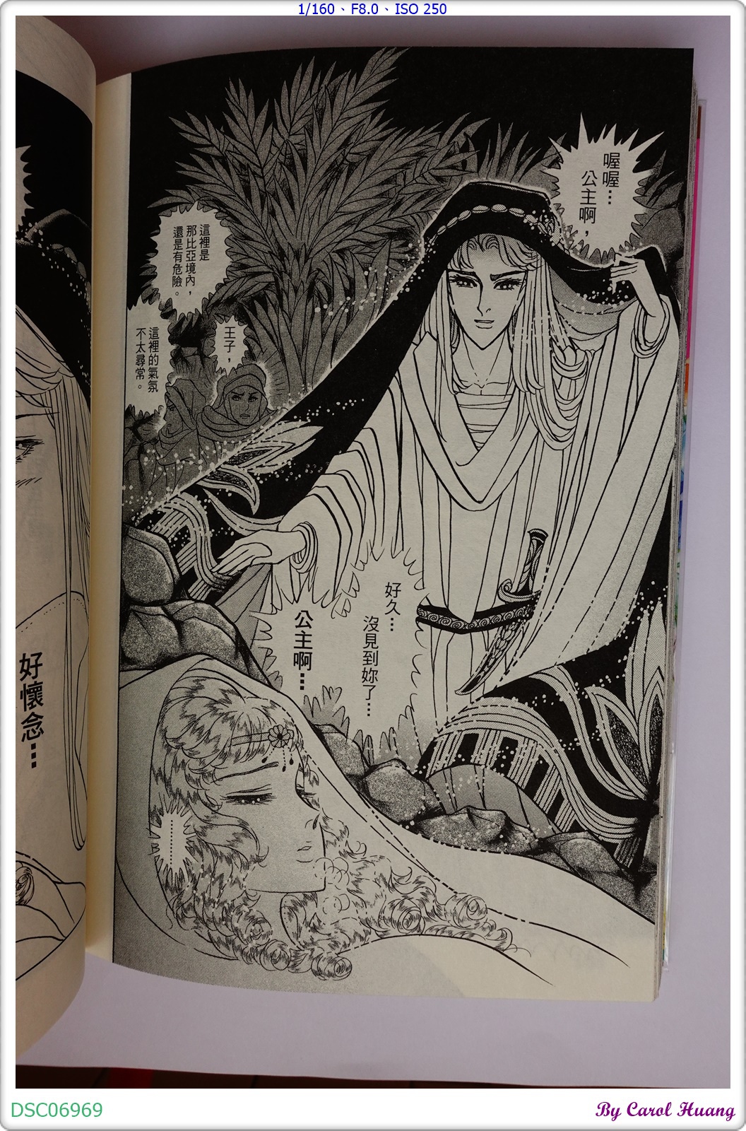 漫畫 19年02月 王家の紋章ch 64 錦瑟年華 痞客邦