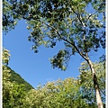 SD101249.JPG