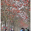 NK2_5860.JPG