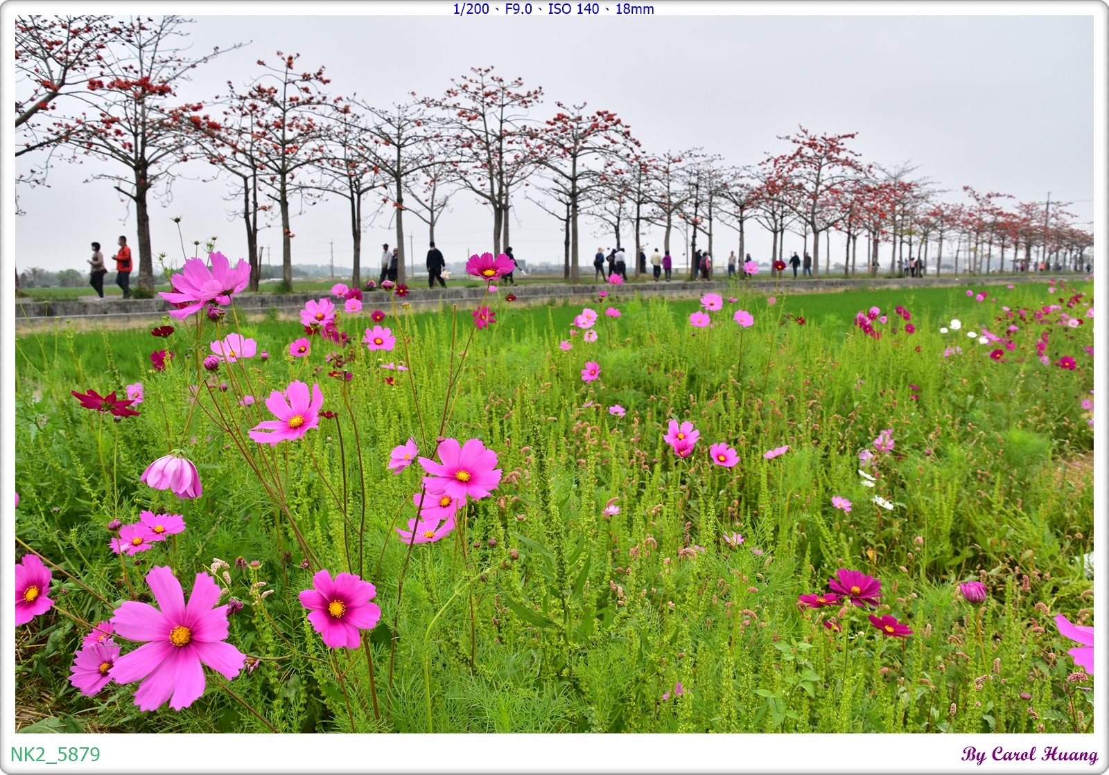 NK2_5879.JPG