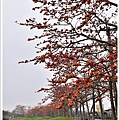 NK2_5893.JPG