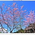 NK2_8745.JPG