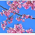 NK2_8766.JPG