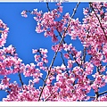 NK2_8767.JPG