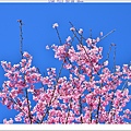 NK2_8768.JPG