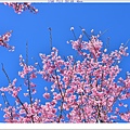 NK2_8771.JPG