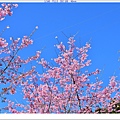 NK2_8773.JPG