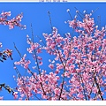 NK2_8772.JPG