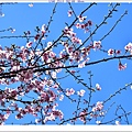 NK2_8785.JPG