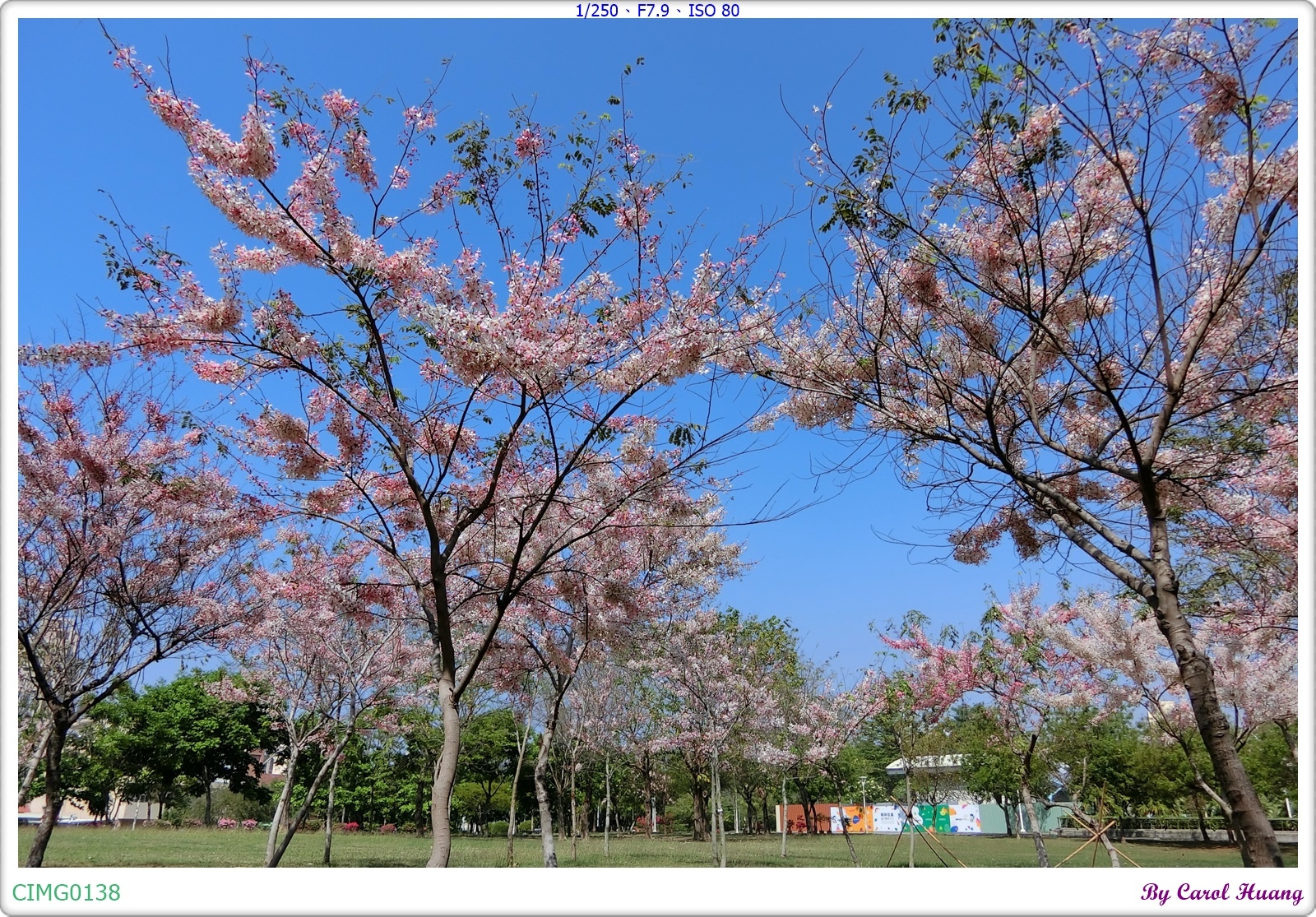 CIMG0138.JPG CIMG0138.JPG