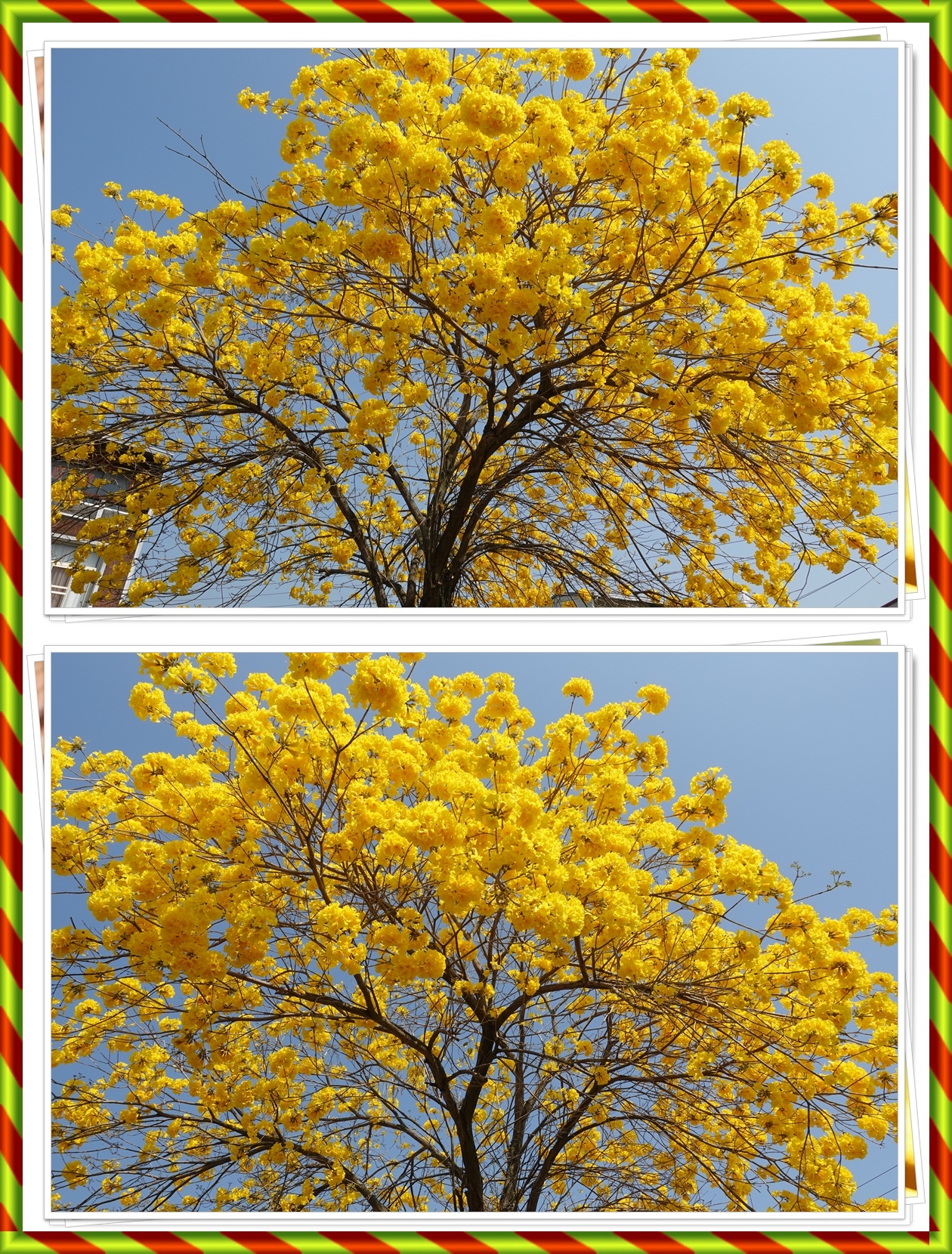 /tmp/phpq92myR /tmp/phpq92myR