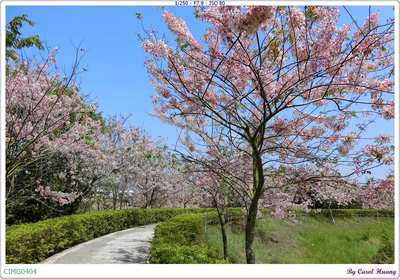 CIMG0404.JPG CIMG0404.JPG