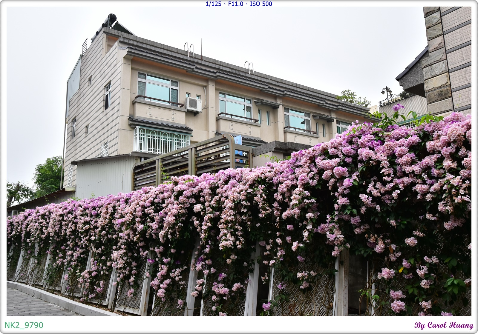 NK2_9790.JPG