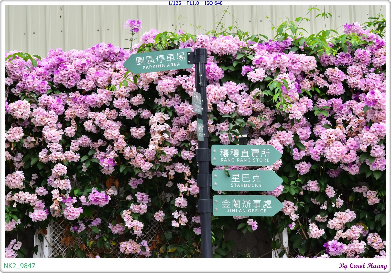 NK2_9847.JPG