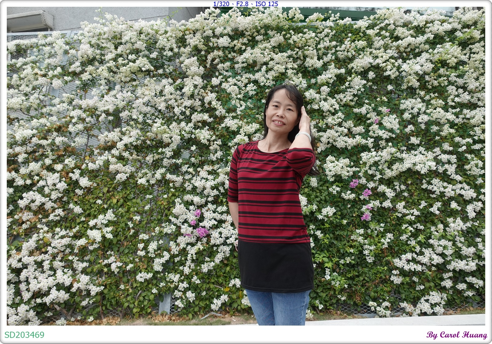 SD203469.JPG