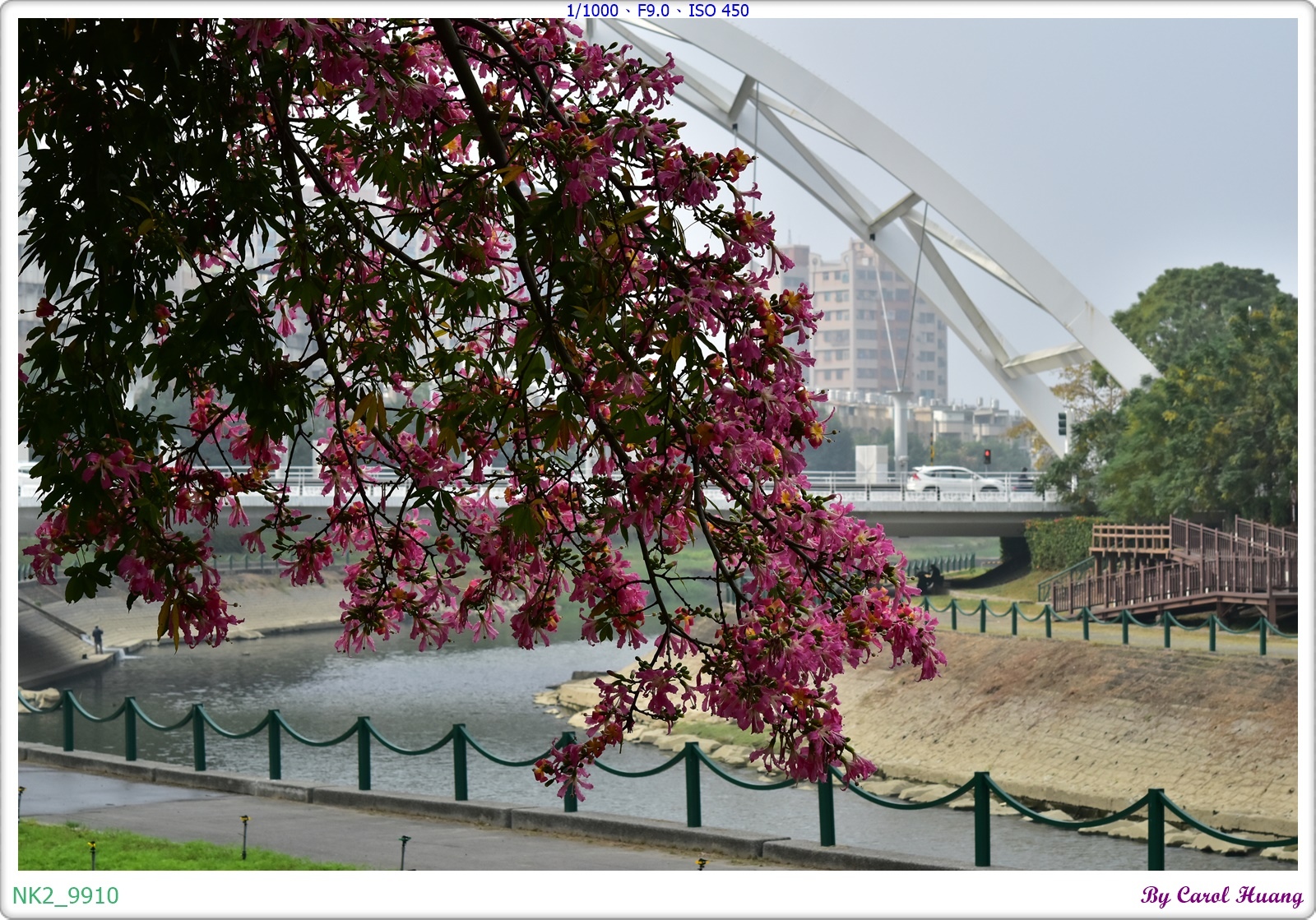 NK2_9910.JPG