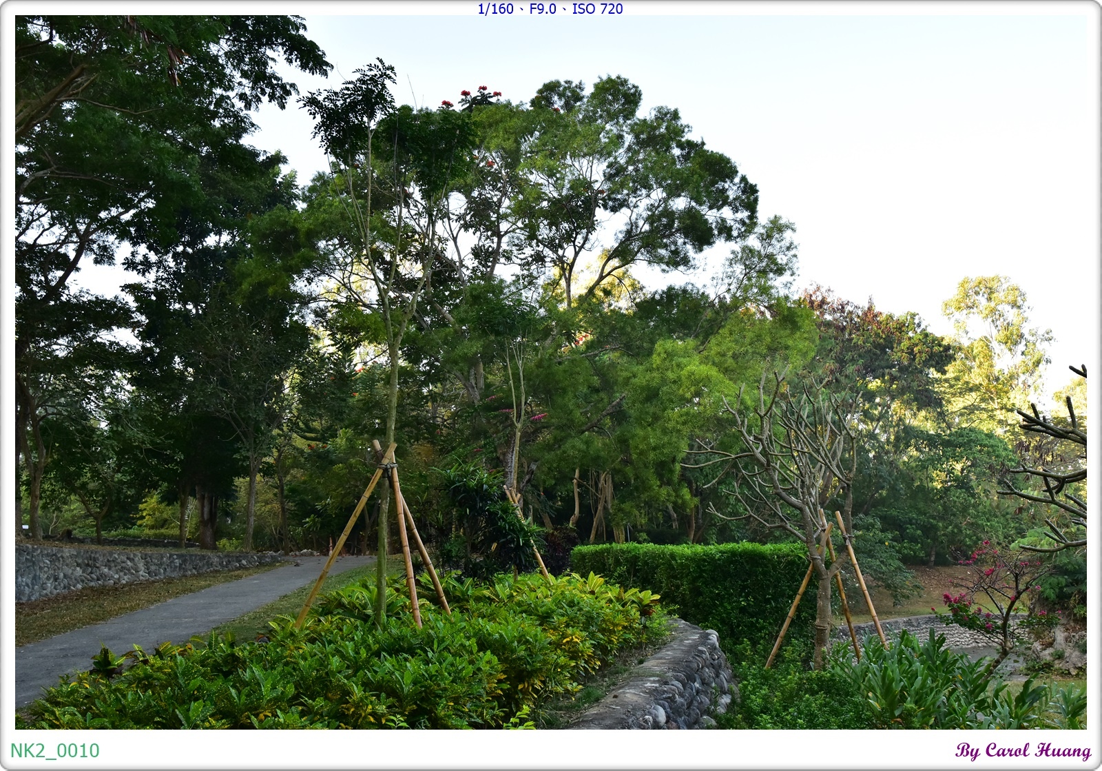 NK2_0010.JPG NK2_0010.JPG