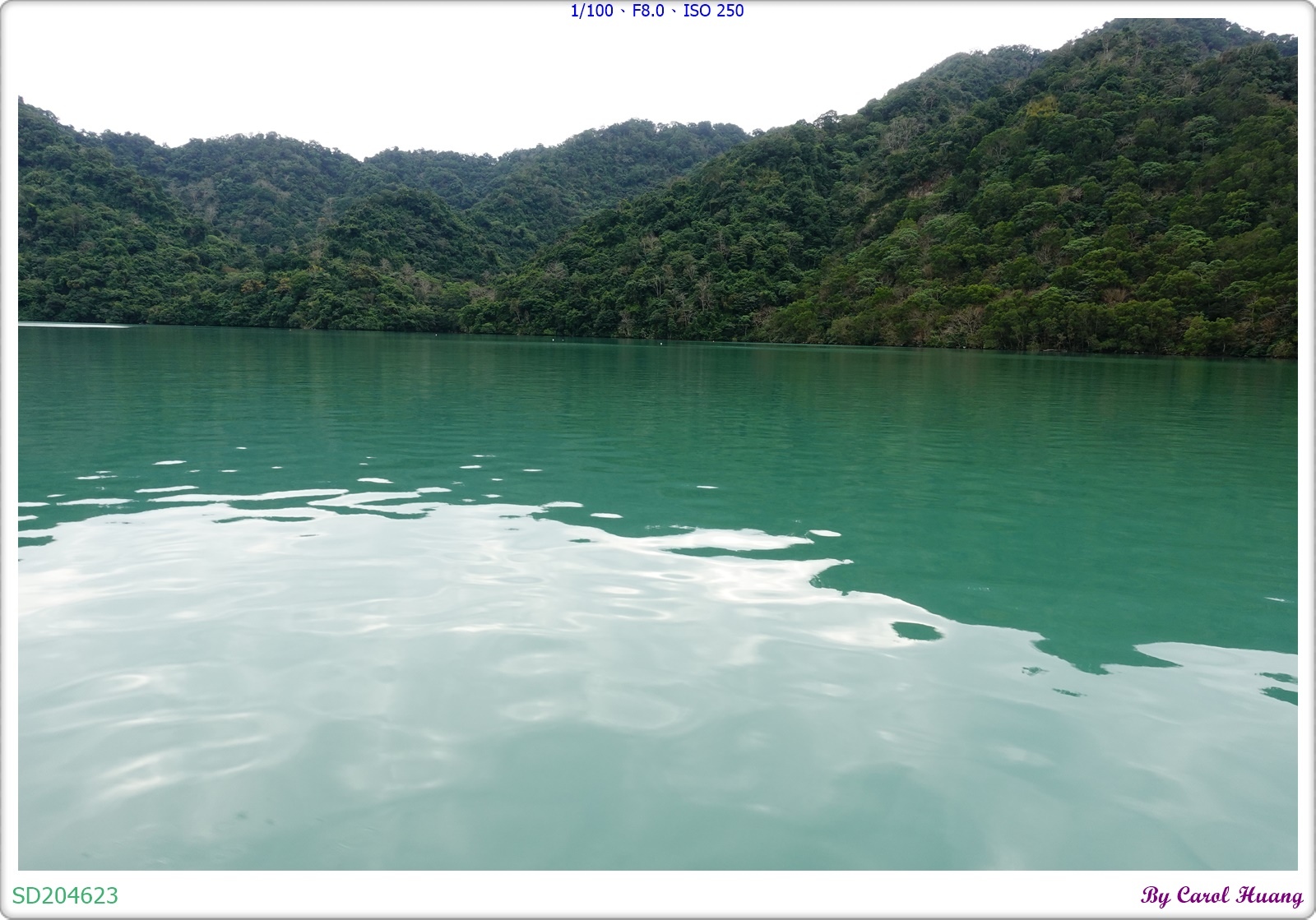 SD204623.JPG