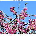NK3_0558.JPG
