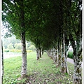 SD208712.JPG