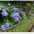SD208725.JPG