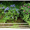 SD208727.JPG