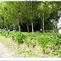 SD208734.JPG