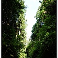 SD208739.JPG