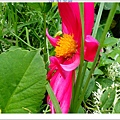 SD208760.JPG