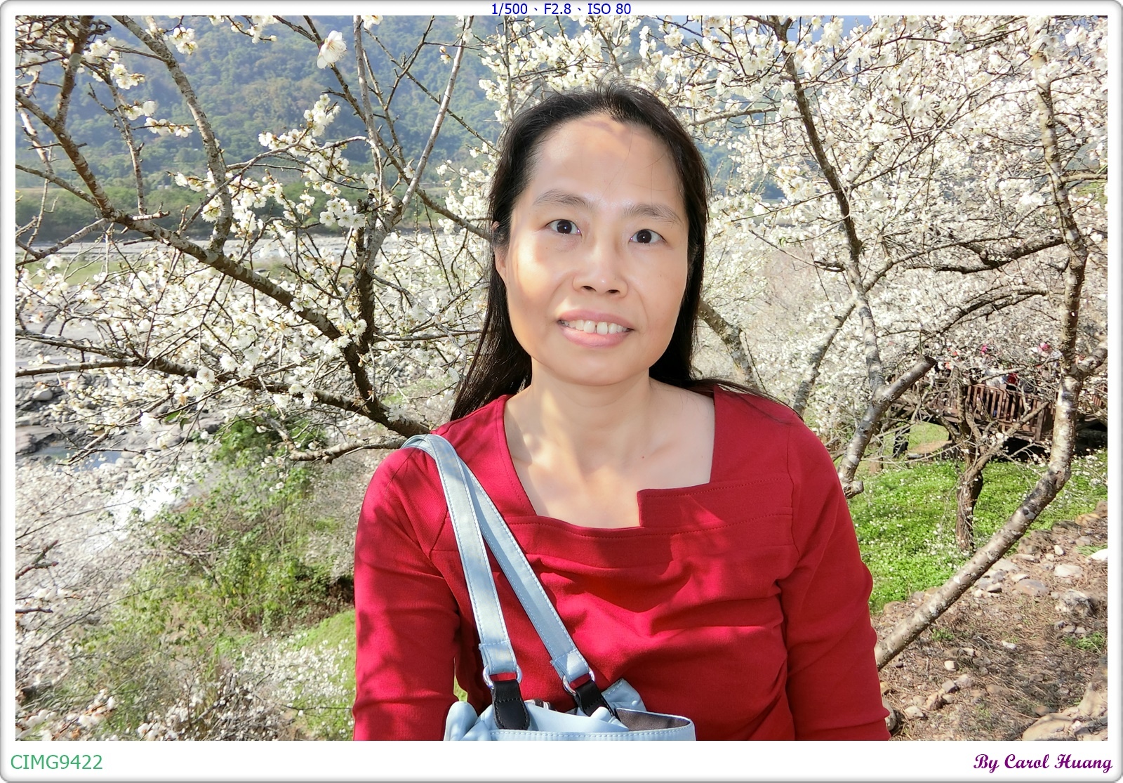 【旅拍】250112-ZR3600「南投信義～信義鄉農會梅子