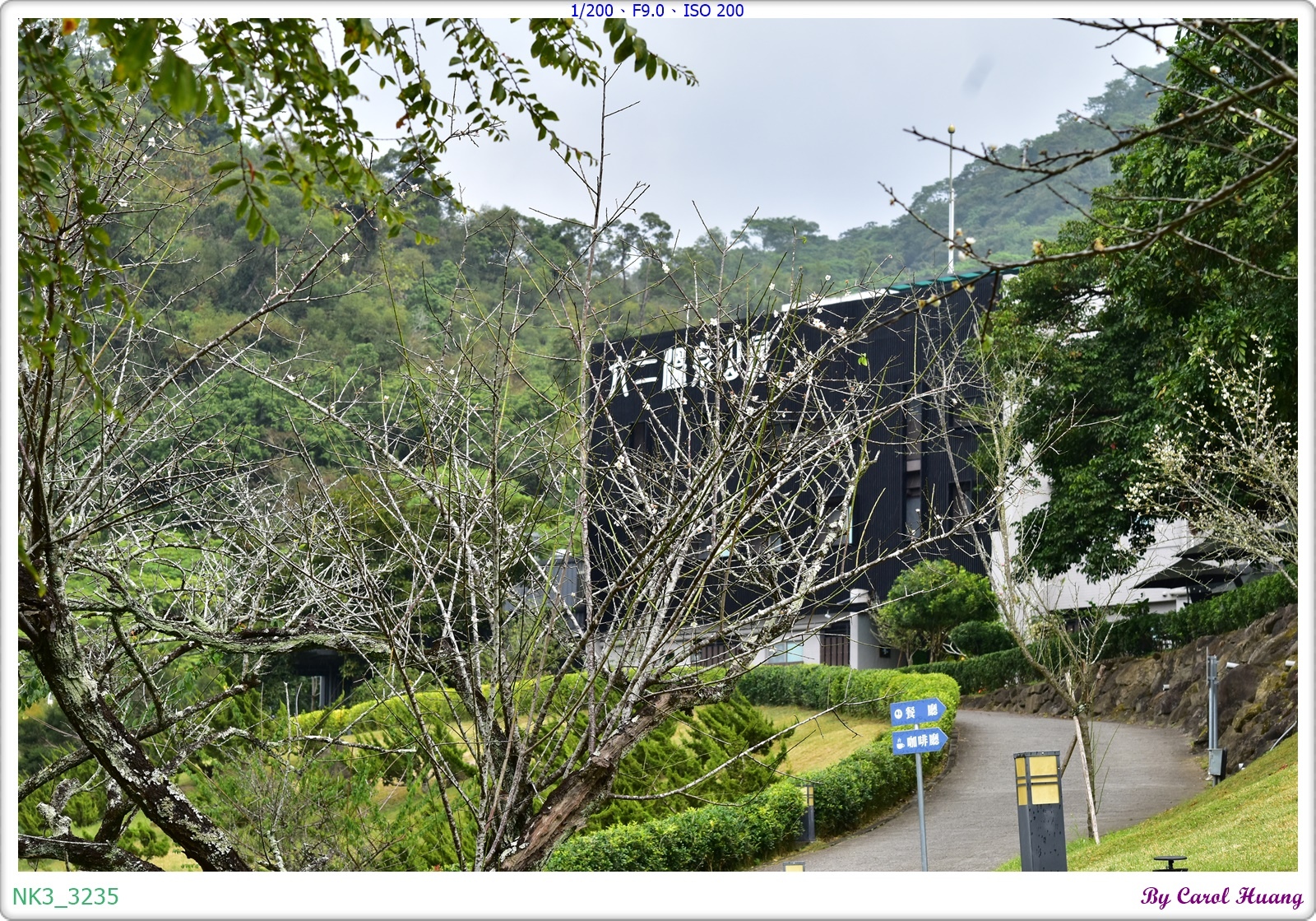 【旅拍】250118-D5600+60/F2.8 MICRO