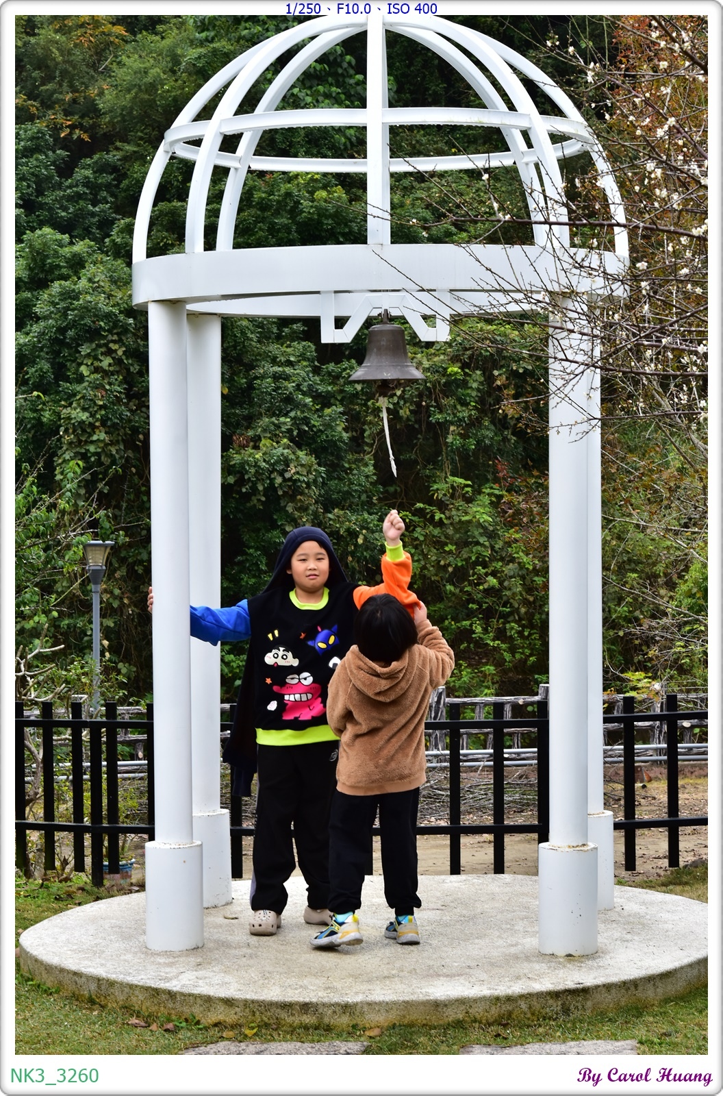 【旅拍】250118-D5600+60/F2.8 MICRO