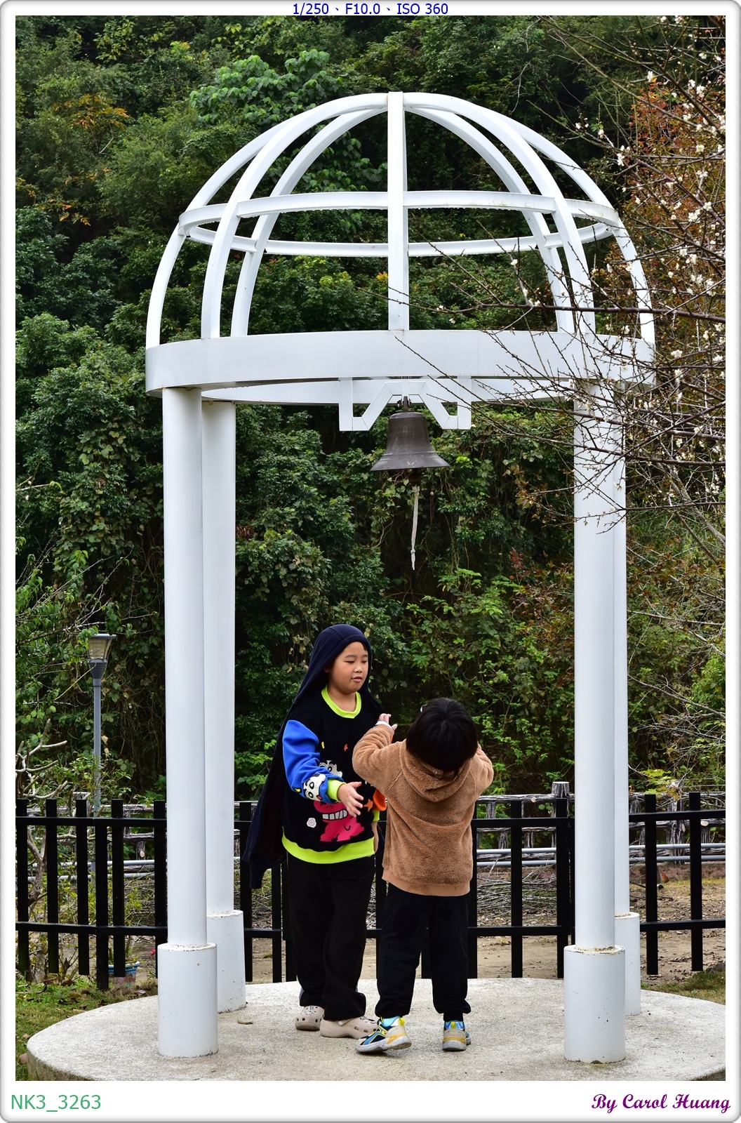 【旅拍】250118-D5600+60/F2.8 MICRO