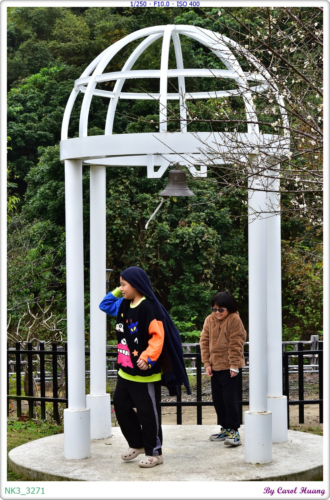 【旅拍】250118-D5600+60/F2.8 MICRO