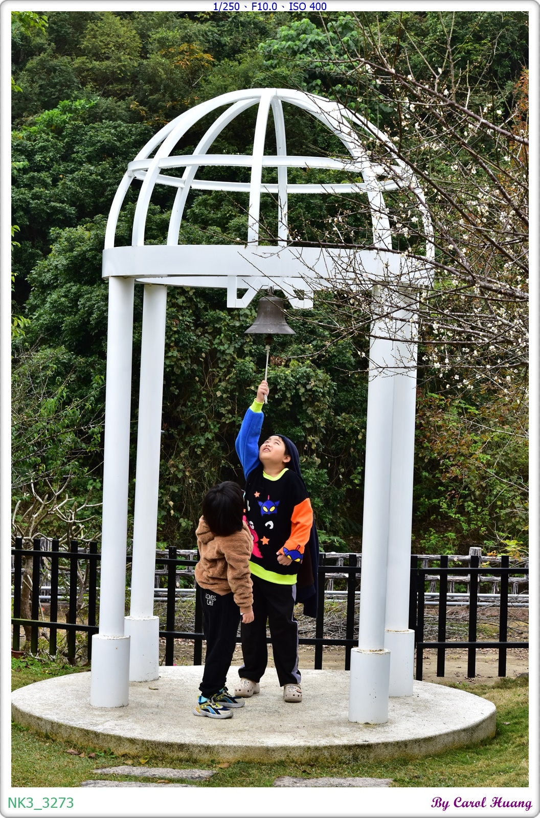 【旅拍】250118-D5600+60/F2.8 MICRO