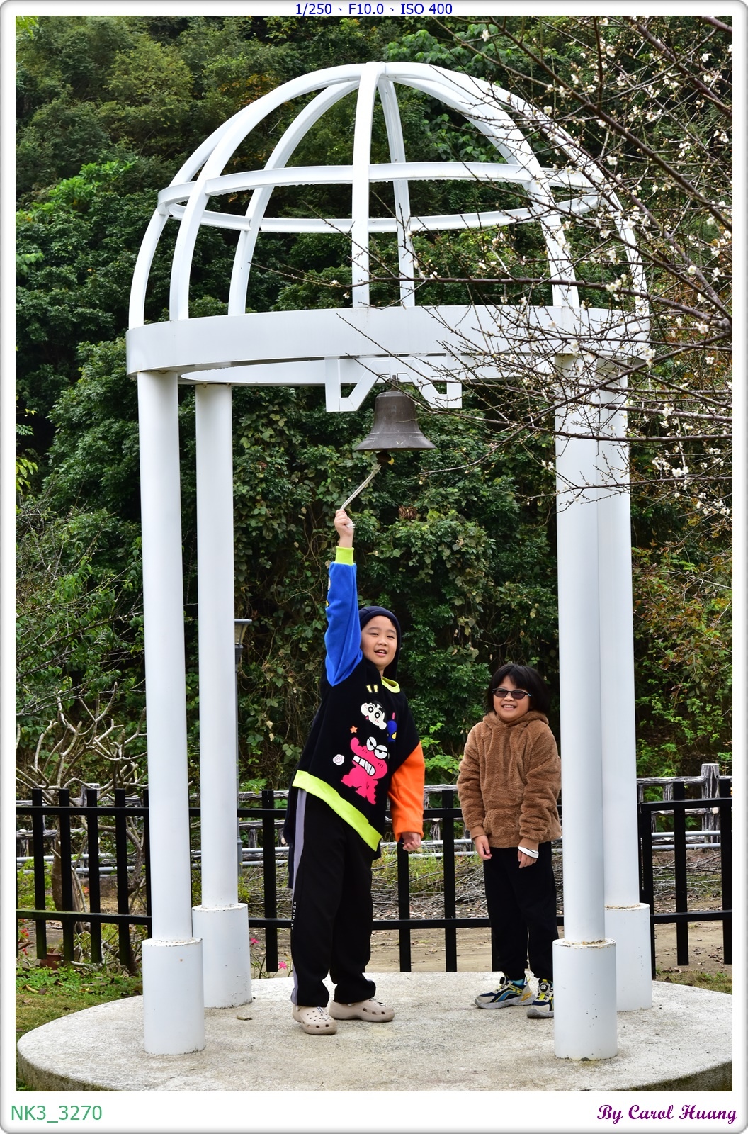 【旅拍】250118-D5600+60/F2.8 MICRO