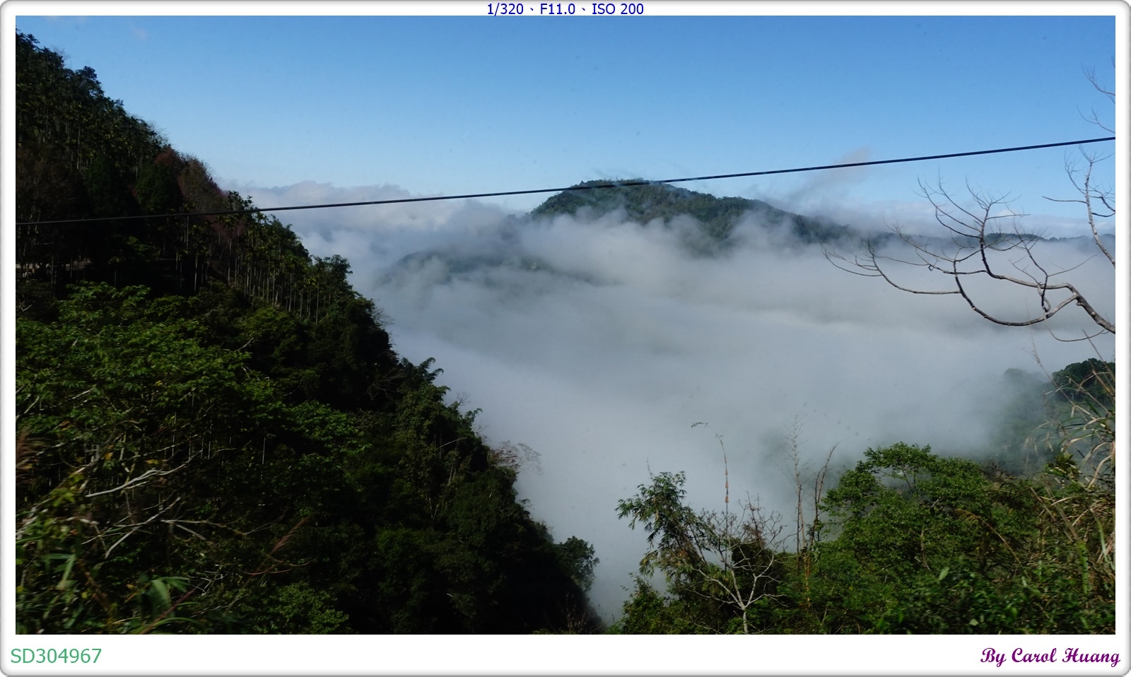 【旅拍】250202-ZR3600+RX100M5A「雲林古