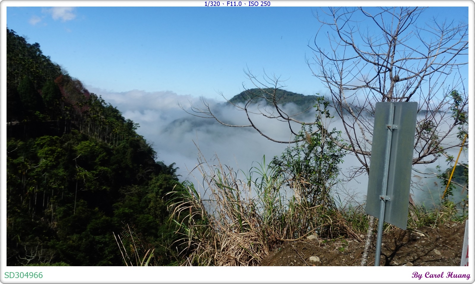 【旅拍】250202-ZR3600+RX100M5A「雲林古