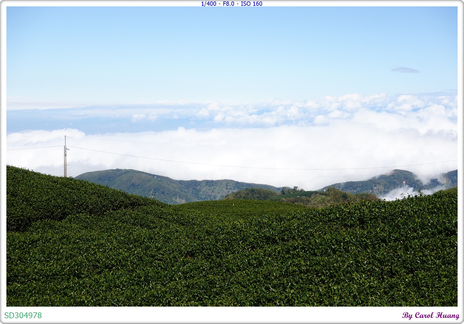 【旅拍】250202-ZR3600+RX100M5A「雲林古