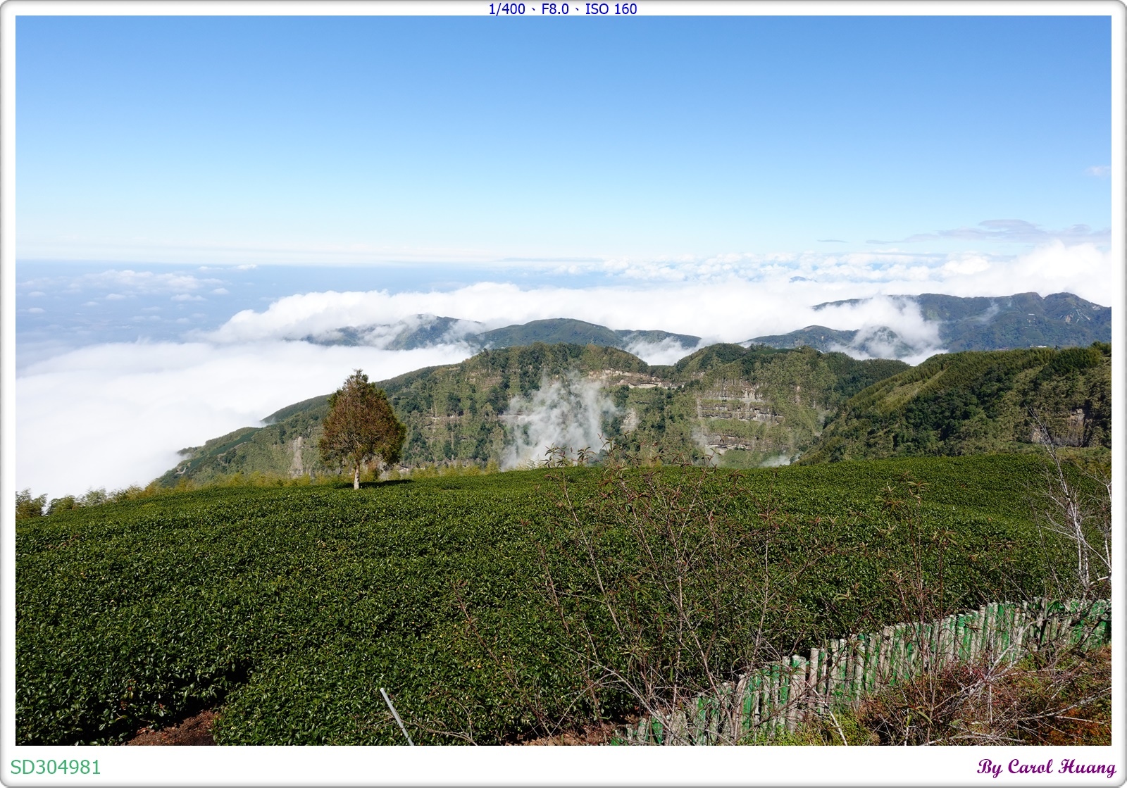 【旅拍】250202-ZR3600+RX100M5A「雲林古