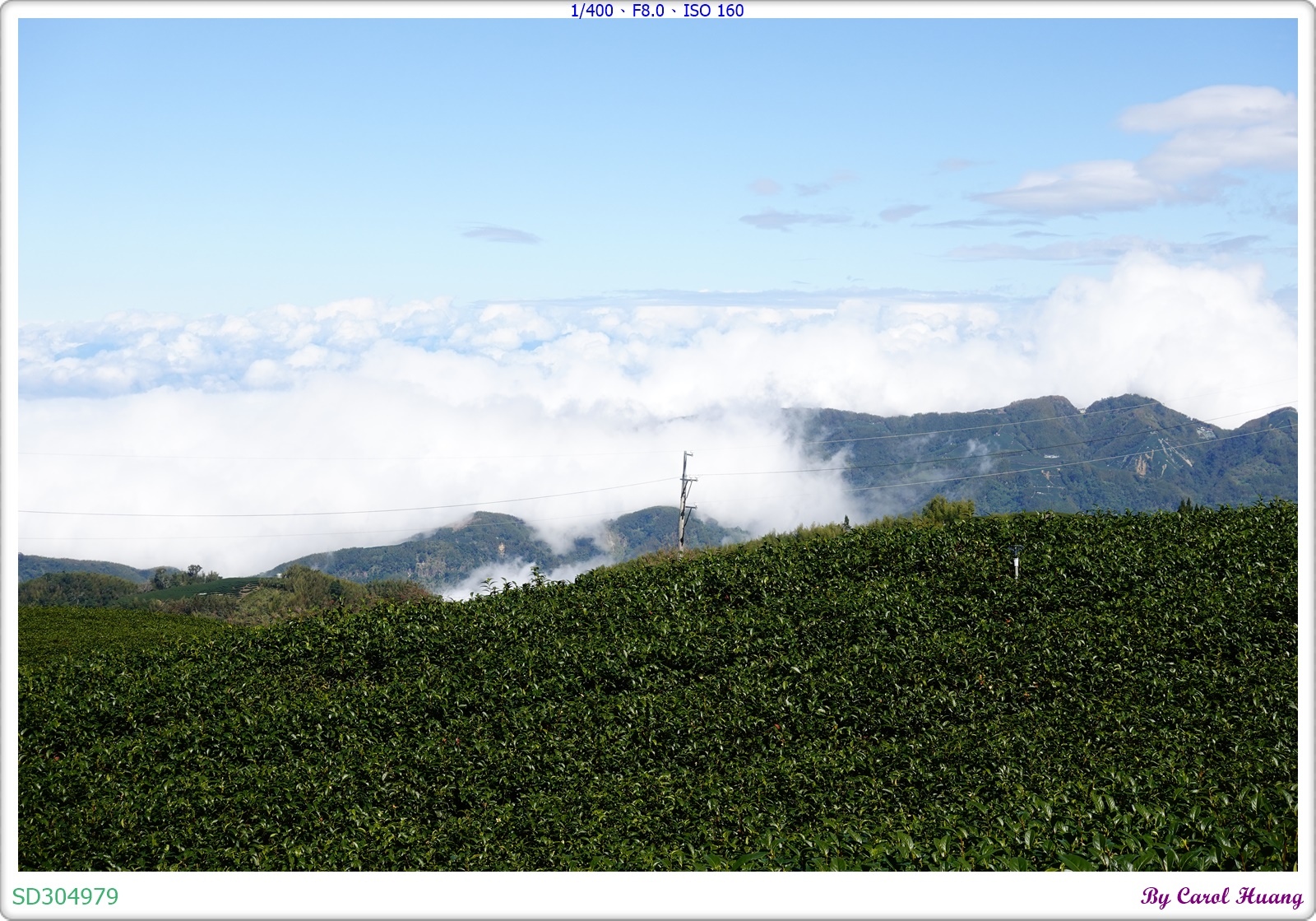 【旅拍】250202-ZR3600+RX100M5A「雲林古