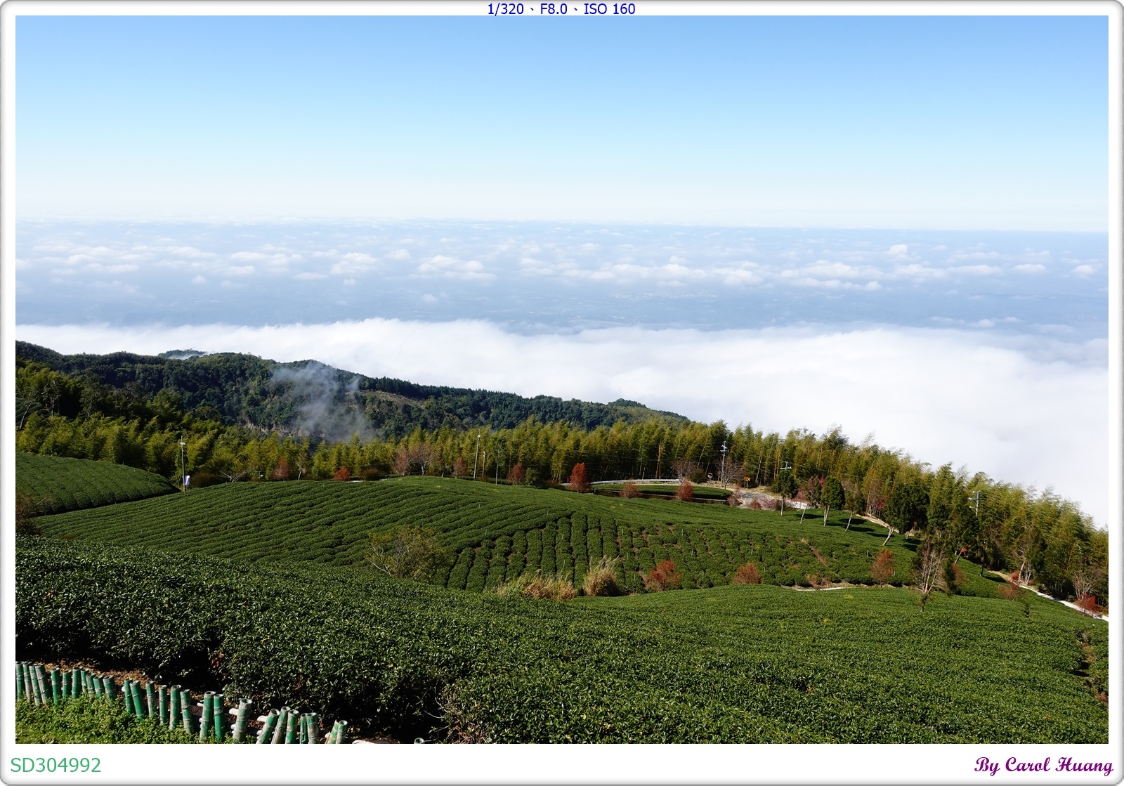 【旅拍】250202-ZR3600+RX100M5A「雲林古