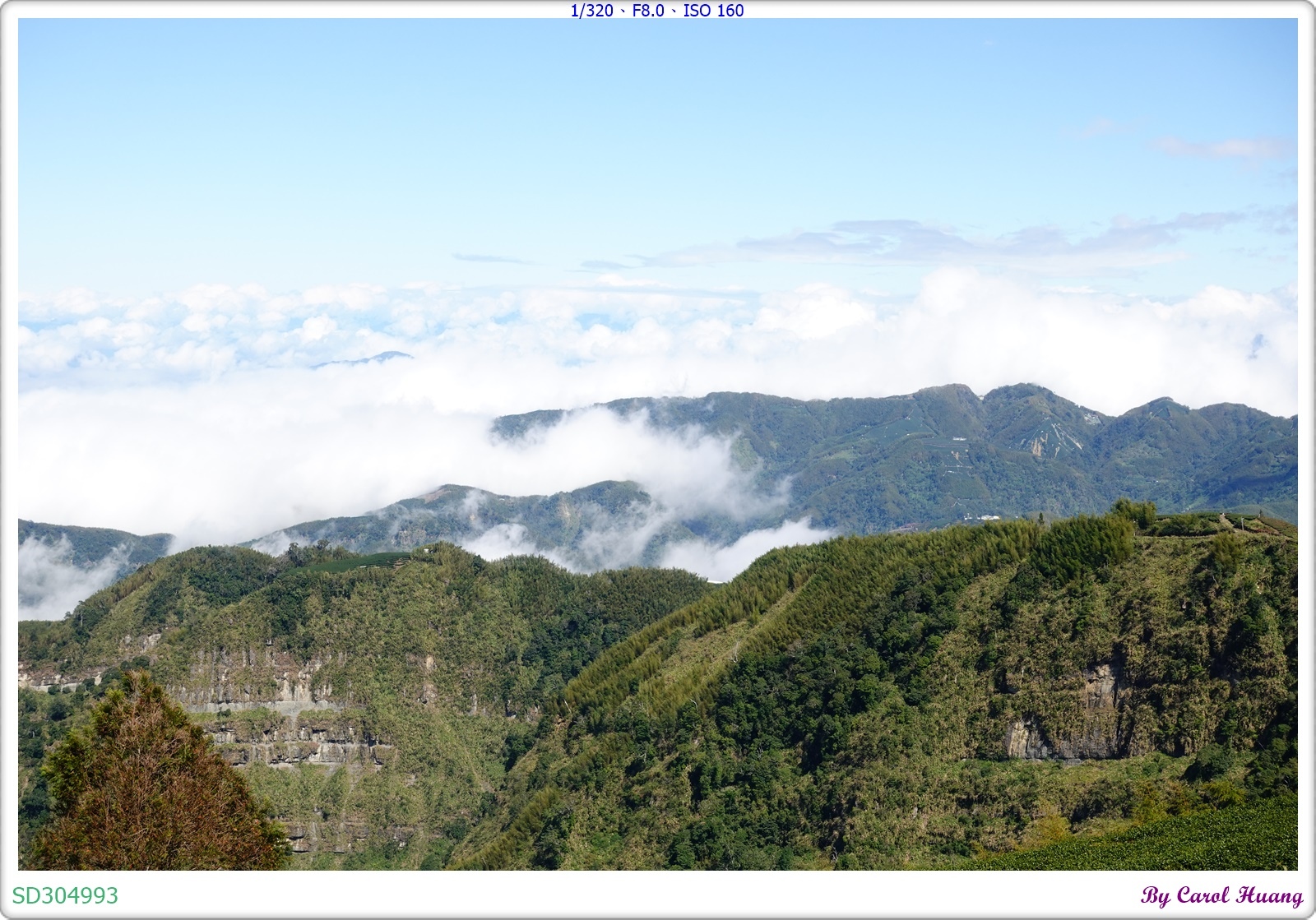 【旅拍】250202-ZR3600+RX100M5A「雲林古