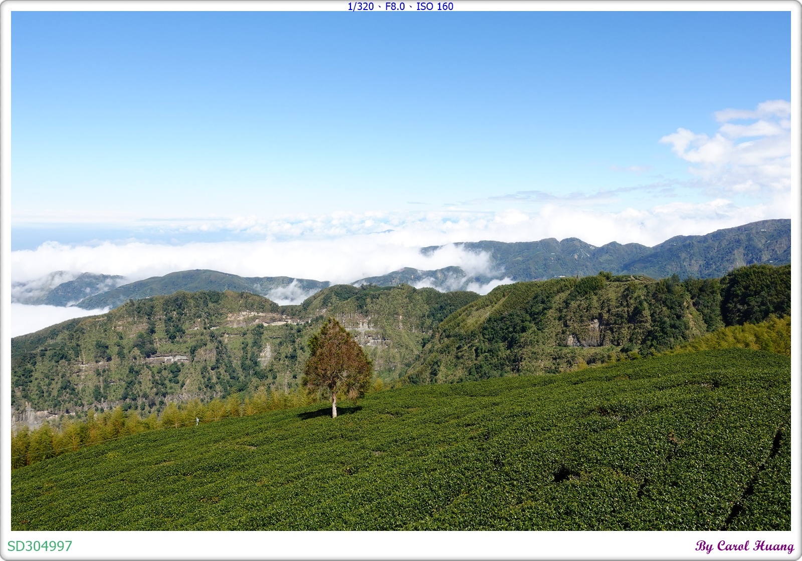 【旅拍】250202-ZR3600+RX100M5A「雲林古