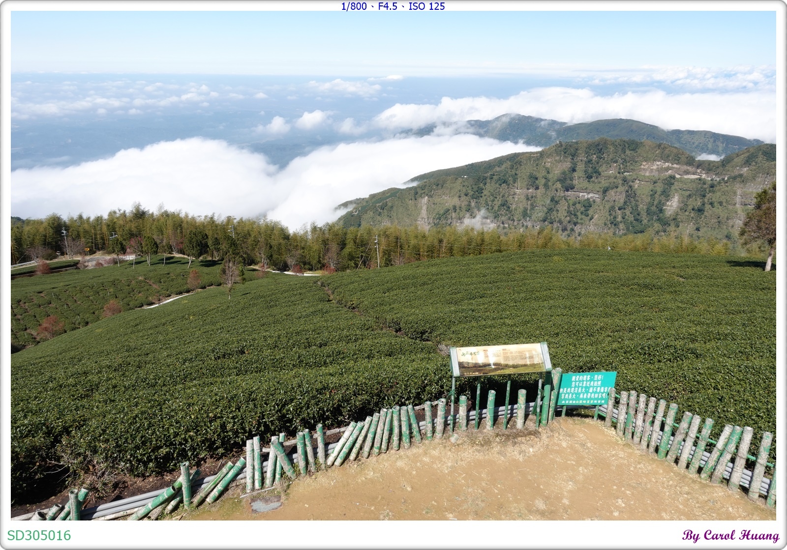 【旅拍】250202-ZR3600+RX100M5A「雲林古
