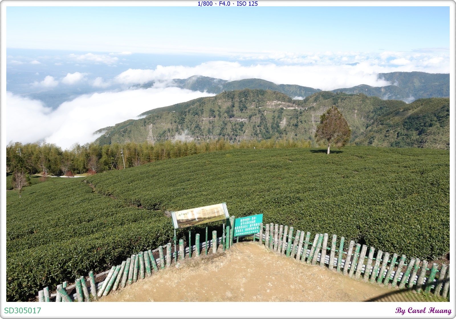 【旅拍】250202-ZR3600+RX100M5A「雲林古