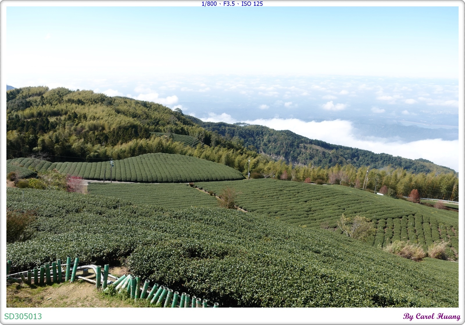 【旅拍】250202-ZR3600+RX100M5A「雲林古