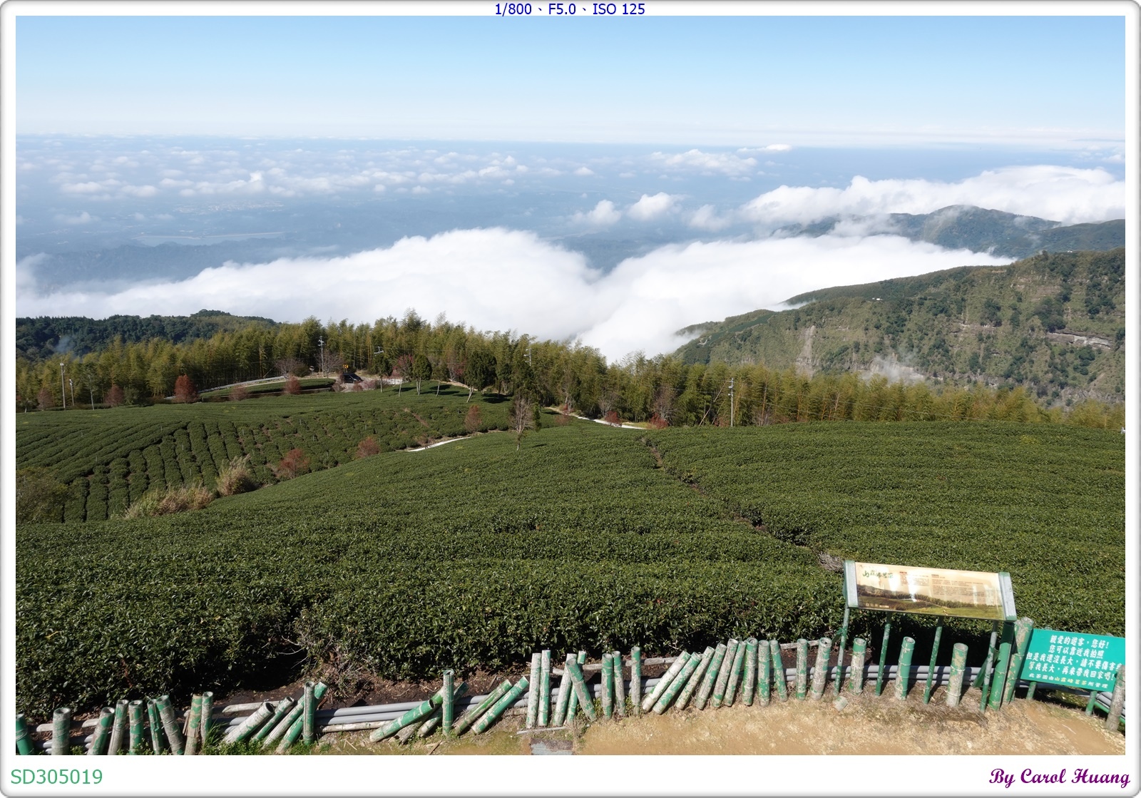 【旅拍】250202-ZR3600+RX100M5A「雲林古